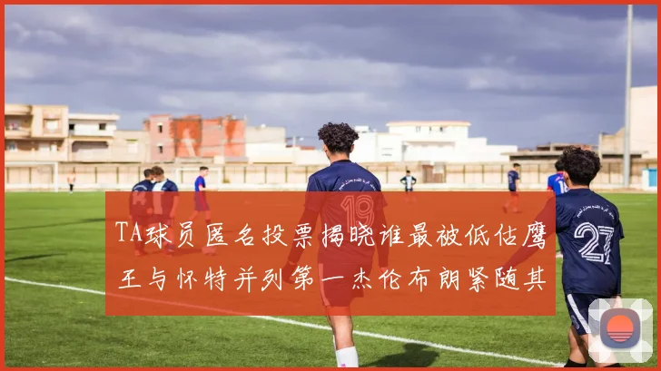 TA球员匿名投票揭晓谁最被低估鹰王与怀特并列第一杰伦布朗紧随其后